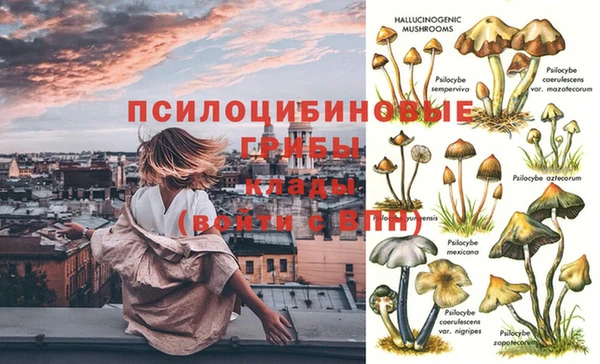 PSILOCYBIN Баксан
