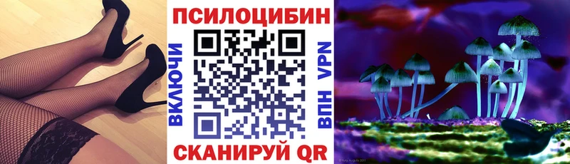 Псилоцибиновые грибы мухоморы  где найти   ОМГ ОМГ ССЫЛКА  Таруса 